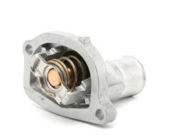 TERMOSTATO  th5069.87