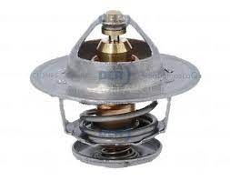 TERMOSTATO th5898.76-