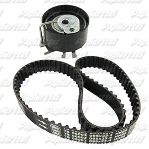 VKMA 06002 A KITS DE DISTRIBUCION SKF    ar00243531221