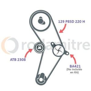 VKMA 02206/1 A KITS DE DISTRIBUCION SKF      ar04223161285