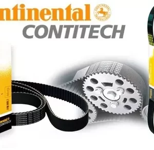 7898447712524    	CORREA 3PK-796 ELAST. CONTINENTAL