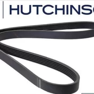 3K915  CORREA POLY-V    798190018638