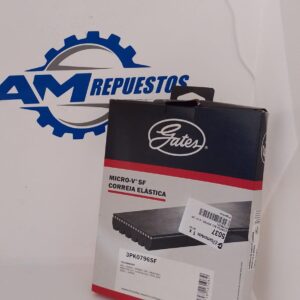 5037   CORREA POLY V ELASTICA  GATES    050370000