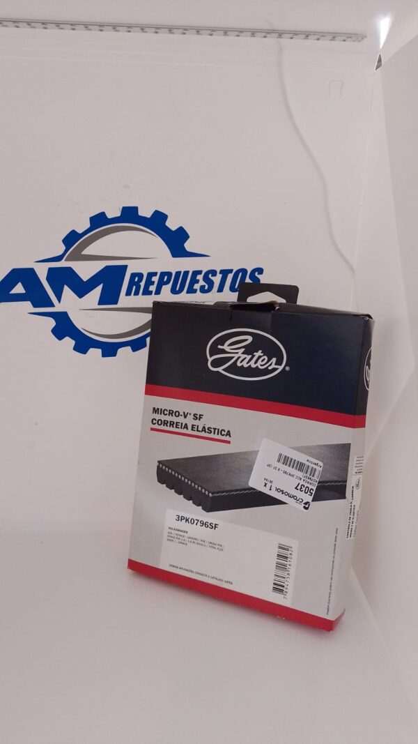 5037   CORREA POLY V ELASTICA  GATES    050370000
