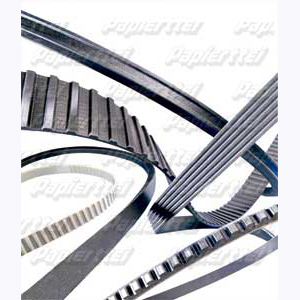 VKMV 6SK1029 CORREAS MULTICANAL SKF   7316574559091