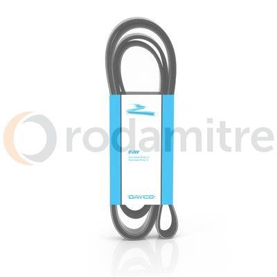 6SK 1059  CORREA POLY V ELASTICA      6pk1059ee