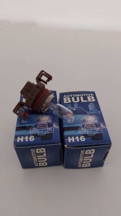 H16  24w