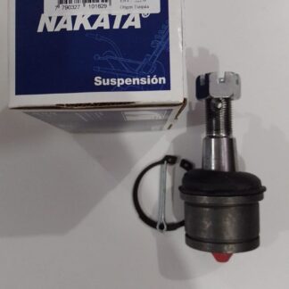 7790327101629  ROTULA INFERIOR    N10228