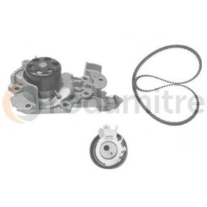 VKMC06002 KIT DE DISTRIBUCION (SKF)