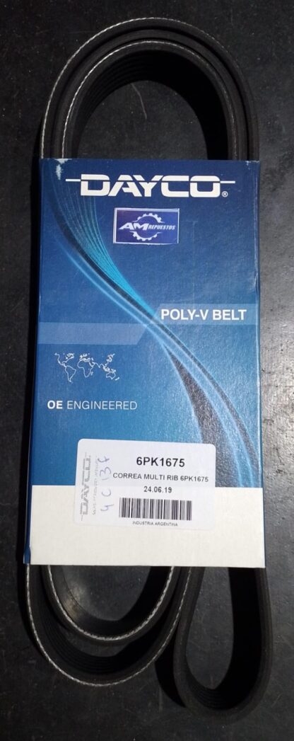 6pk1675 CORREA POLI V