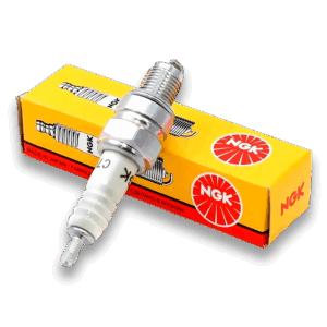 BUJIA NGK / IDEM BOSCH WR7BC         A.4