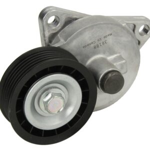 APV2313 DAYCO TENSOR POLY V FOCUS