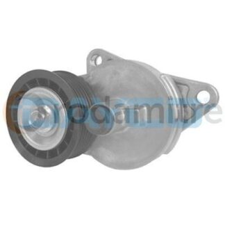 APV2313 DAYCO TENSOR POLY V FOCUS