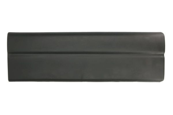 MOLDURA PORTON TRASERO RENAULT MASTER