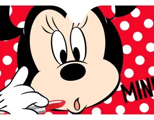 CO-110 CORTINA DISNEY PARABRISA METALIZADA MINNIE 150*70CM