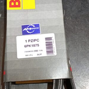 6PK1875 CORREA POLY V