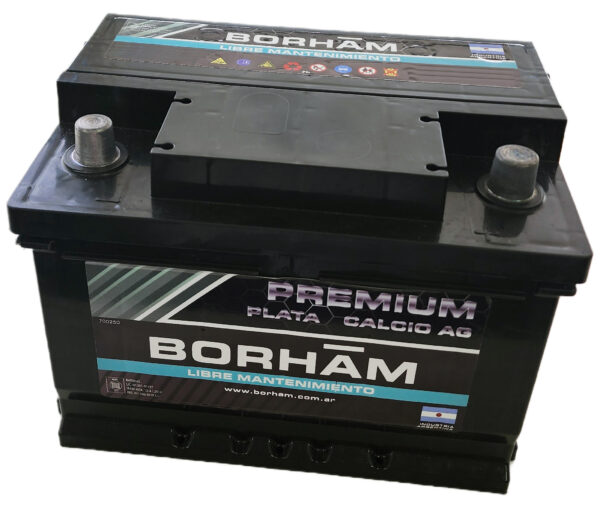 08/122/032 BATERIAS BORHAM BRM65 12X65D 242X175X175