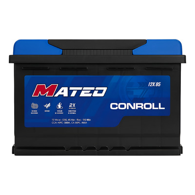BATERIA 12X65 (MATEO)