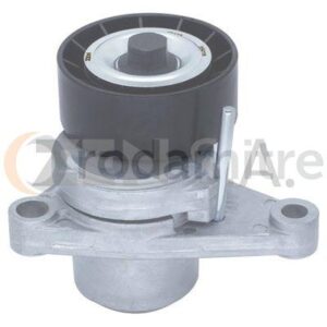 TENSOR DE POLI V CITROEN/PEUGEOT VKM 33074
