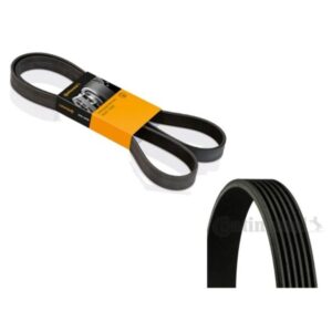 6PK1575 CORREA POLY-V